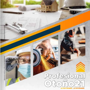 OFERTAS PROFESIONAL SANARA