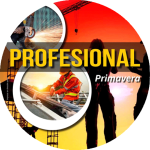 OFERTAS PROFESIONAL 2022 Coferdroza