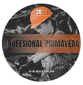 Ofertas profesional primavera 2023
